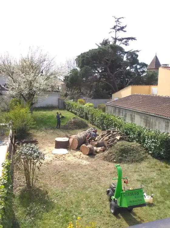 Nettoyage de chantier après abattage