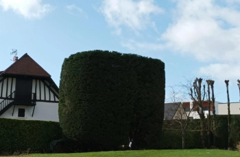 Entretien jardin